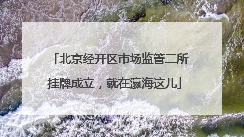 北京经开区市场监管二所挂牌成立，就在瀛海这儿