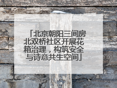 北京朝阳三间房北双桥社区开展花箱治理，构筑安全与诗意共生空间