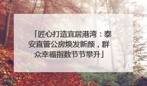 匠心打造宜居港湾：泰安直管公房焕发新颜，群众幸福指数节节攀升