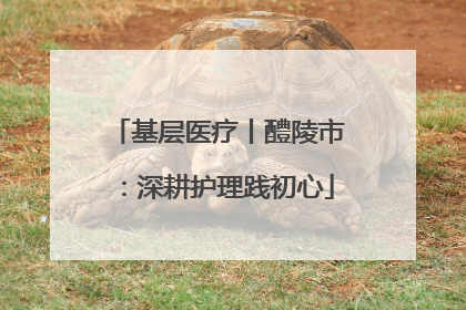 基层医疗丨醴陵市：深耕护理践初心