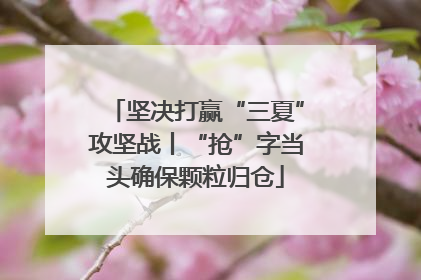 坚决打赢“三夏”攻坚战丨“抢”字当头确保颗粒归仓
