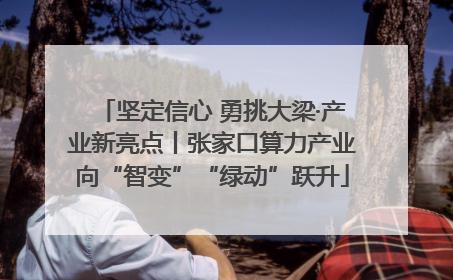 坚定信心 勇挑大梁·产业新亮点丨张家口算力产业向“智变”“绿动”跃升