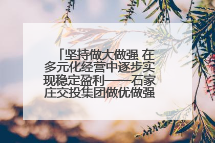 坚持做大做强 在多元化经营中逐步实现稳定盈利——石家庄交投集团做优做强典型报道之三