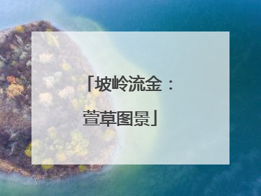 坡岭流金：萱草图景