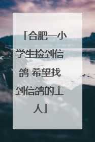 合肥一小学生捡到信鸽 希望找到信鸽的主人