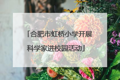 合肥市虹桥小学开展科学家进校园活动