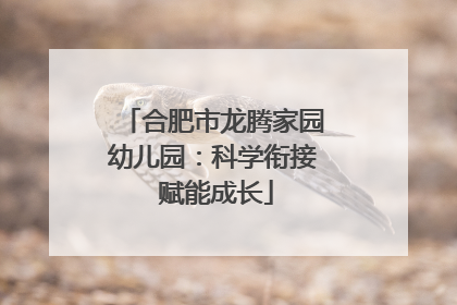 合肥市龙腾家园幼儿园：科学衔接 赋能成长
