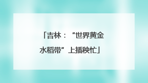 吉林：“世界黄金水稻带”上插秧忙