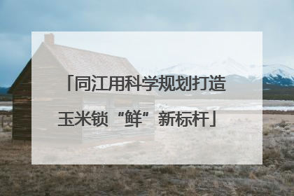 同江用科学规划打造玉米锁“鲜”新标杆