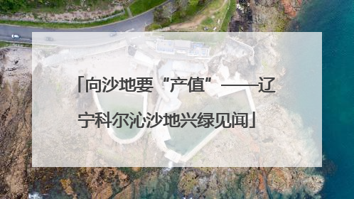 向沙地要“产值”——辽宁科尔沁沙地兴绿见闻