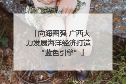 向海图强 广西大力发展海洋经济打造“蓝色引擎”