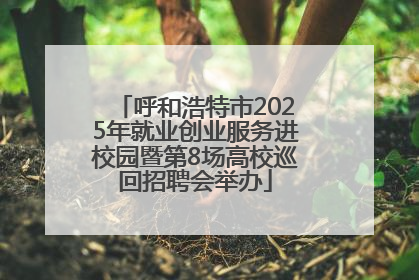 呼和浩特市2025年就业创业服务进校园暨第8场高校巡回招聘会举办