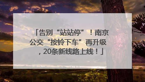 告别“站站停”！南京公交“按铃下车”再升级，20条新线路上线！