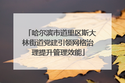 哈尔滨市道里区斯大林街道党建引领网格治理提升管理效能