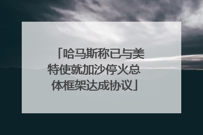 哈马斯称已与美特使就加沙停火总体框架达成协议