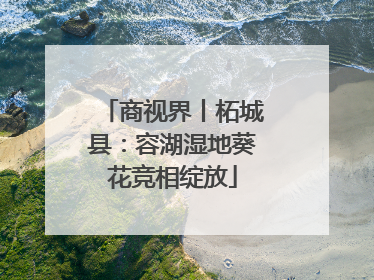 商视界丨柘城县：容湖湿地葵花竞相绽放