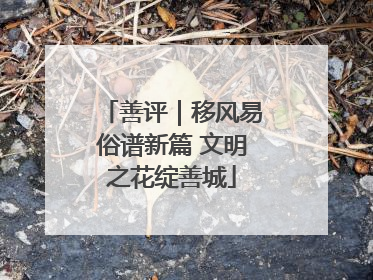 善评｜移风易俗谱新篇 文明之花绽善城