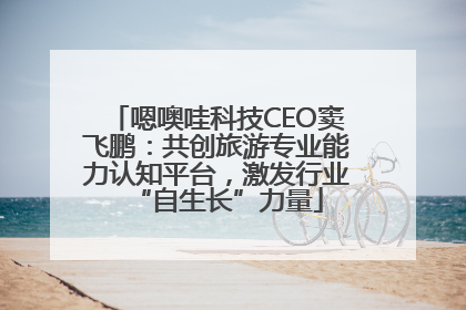 嗯噢哇科技CEO窦飞鹏：共创旅游专业能力认知平台，激发行业“自生长”力量