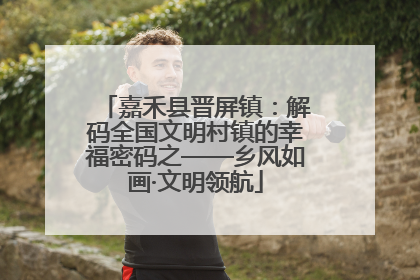 嘉禾县晋屏镇：解码全国文明村镇的幸福密码之——乡风如画·文明领航