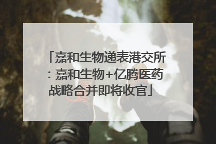 嘉和生物递表港交所：嘉和生物+亿腾医药战略合并即将收官