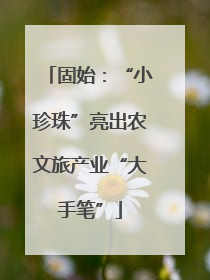 固始：“小珍珠”亮出农文旅产业“大手笔”