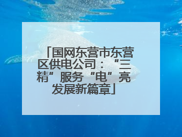 国网东营市东营区供电公司：“三精”服务“电”亮发展新篇章