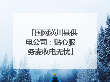 国网潢川县供电公司：贴心服务麦收电无忧