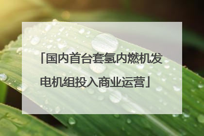 国内首台套氢内燃机发电机组投入商业运营