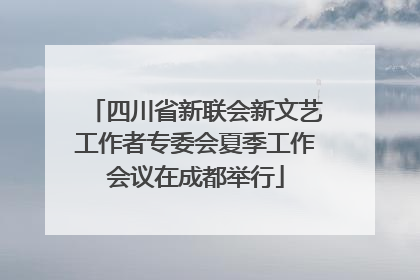 四川省新联会新文艺工作者专委会夏季工作会议在成都举行