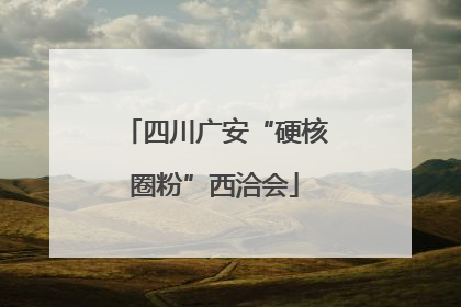 四川广安“硬核圈粉”西洽会