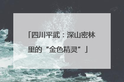 四川平武：深山密林里的“金色精灵”