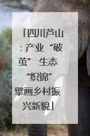 四川芦山：产业“破茧” 生态“织锦” 擘画乡村振兴新貌