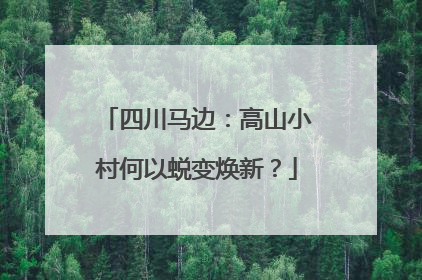 四川马边：高山小村何以蜕变焕新？