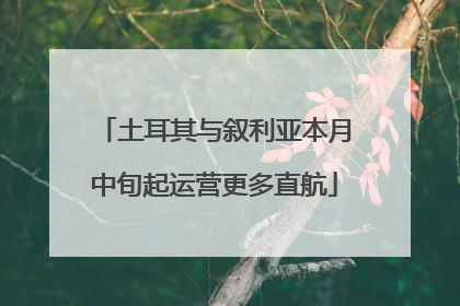 土耳其与叙利亚本月中旬起运营更多直航