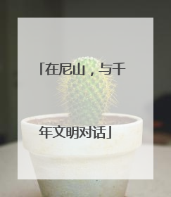 在尼山，与千年文明对话