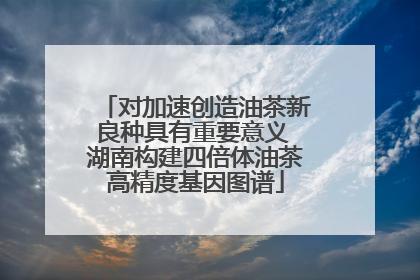 对加速创造油茶新良种具有重要意义 湖南构建四倍体油茶高精度基因图谱
