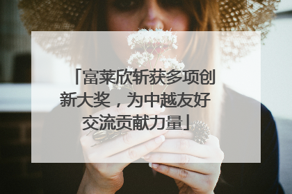 富莱欣斩获多项创新大奖，为中越友好交流贡献力量