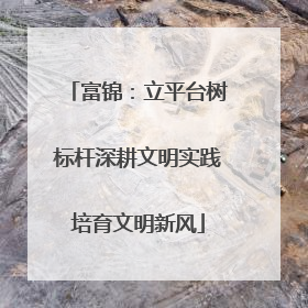 富锦：立平台树标杆深耕文明实践培育文明新风