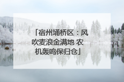 宿州埇桥区：风吹麦浪金满地 农机轰鸣保归仓