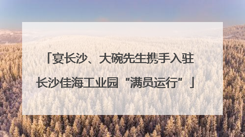 宴长沙、大碗先生携手入驻 长沙佳海工业园“满员运行”