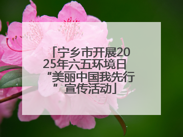 宁乡市开展2025年六五环境日“美丽中国我先行”宣传活动