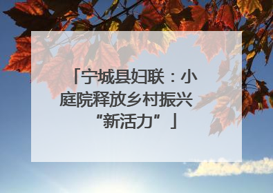 宁城县妇联：小庭院释放乡村振兴“新活力”