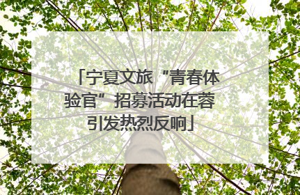 宁夏文旅“青春体验官”招募活动在蓉引发热烈反响