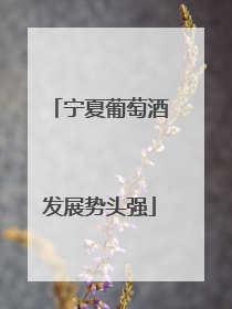 宁夏葡萄酒发展势头强
