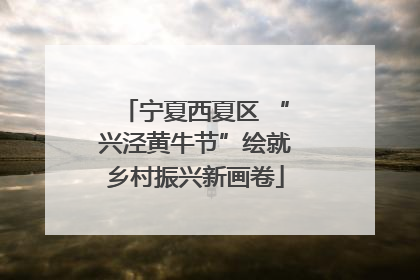 宁夏西夏区 “兴泾黄牛节”绘就乡村振兴新画卷