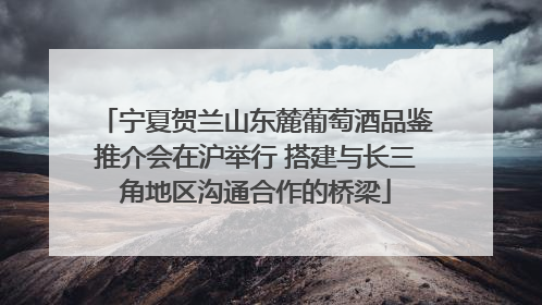 宁夏贺兰山东麓葡萄酒品鉴推介会在沪举行 搭建与长三角地区沟通合作的桥梁