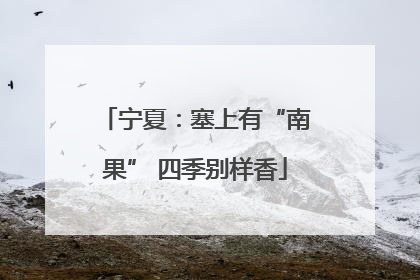 宁夏：塞上有“南果” 四季别样香