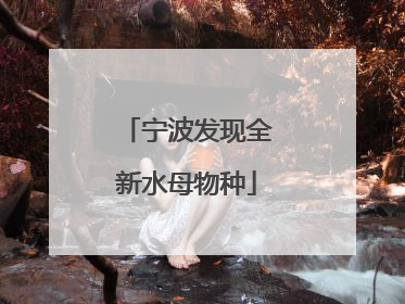 宁波发现全新水母物种