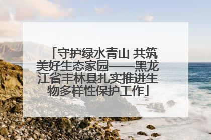 守护绿水青山 共筑美好生态家园——黑龙江省丰林县扎实推进生物多样性保护工作