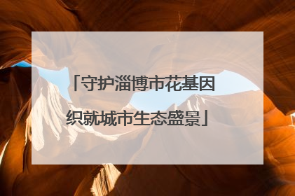 守护淄博市花基因 织就城市生态盛景
